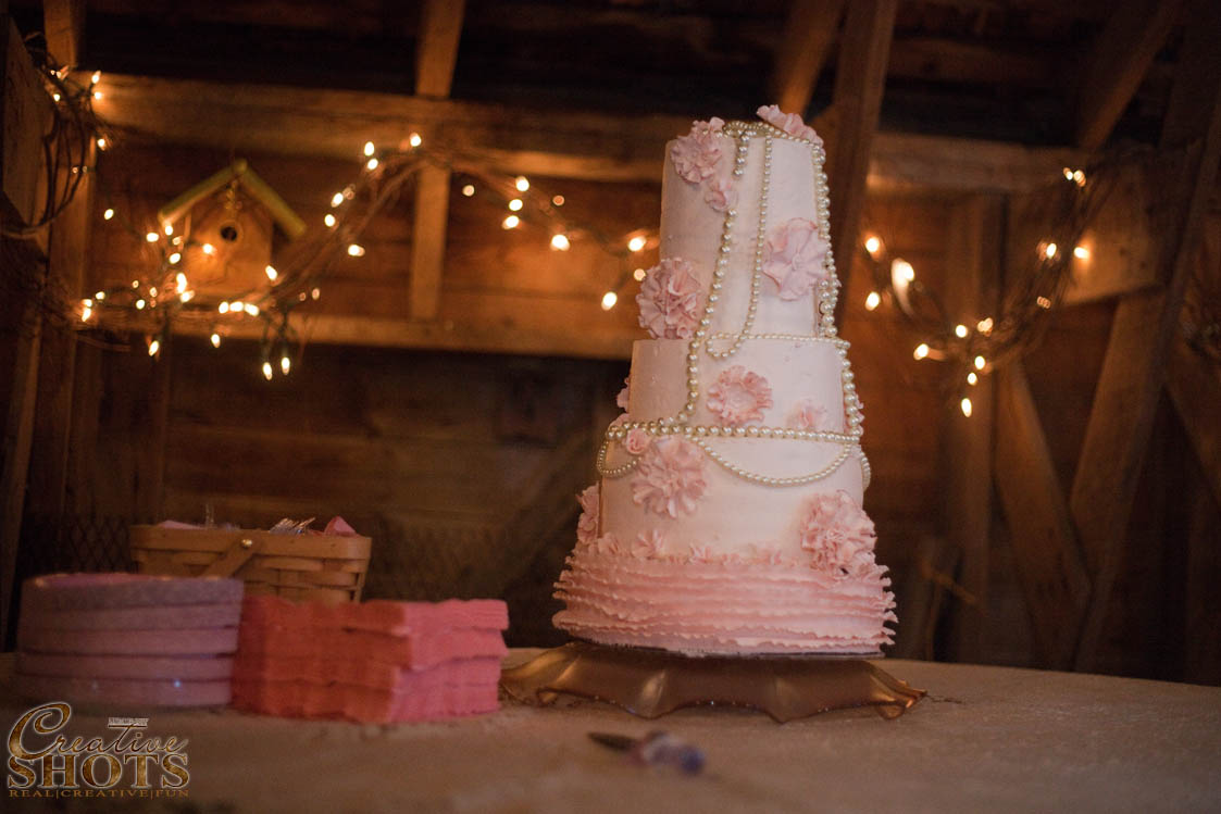 Wedding Photographer Springfield MO Creative Shots Photography M&L105B