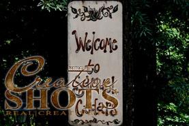 Springfield MO Wedding Photographer